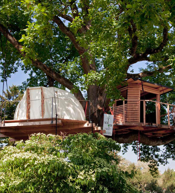 Baumhauskuppeln Baumhaus Kuppel